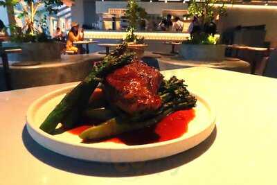 Lemna Of The Alchemist