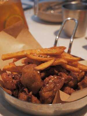 Yadllie Plate Express 야들리애플래이트