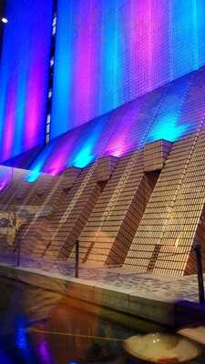 牧羊少年與他的浮萍