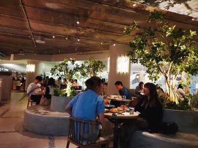 牧羊少年與他的浮萍