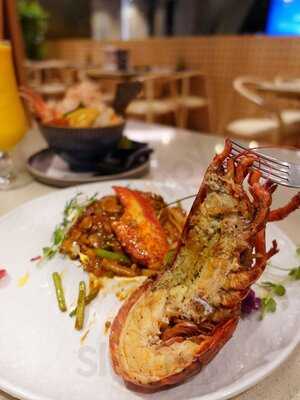 幸圓 Koen こう えん