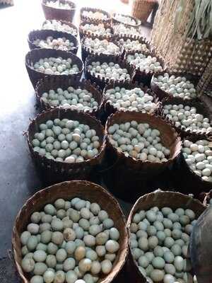 Gudeg Yu Narni Pusat