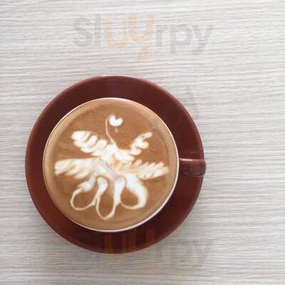 Viverri Specialty Coffee Roasters