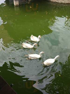 Telaga Barombong Resto & Fishing Makassar