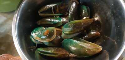 Kerang Blenger Jogja