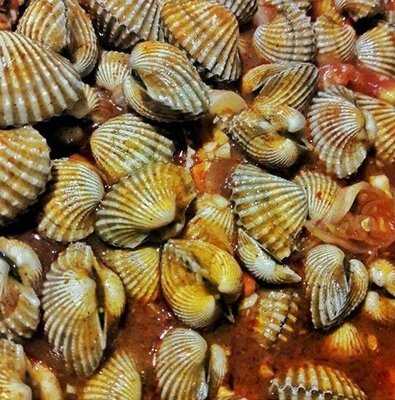 Kerang Blenger Jogja
