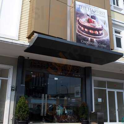 The Harvest Cakes - Modernland