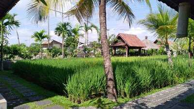 Warung Mogan Vegetarian