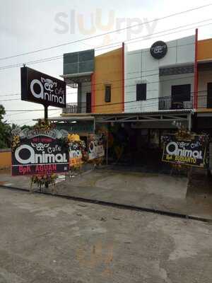 Animal Cafe