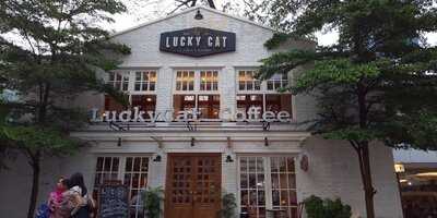 Lucky Cat Coffee And Kitchen