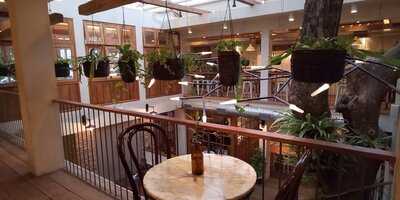 Lucky Cat Coffee And Kitchen