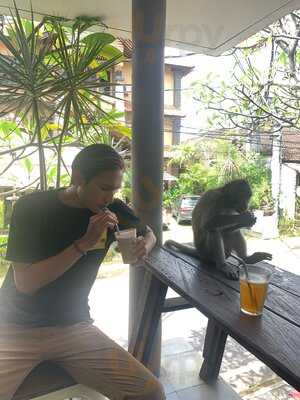 Monkey Cave Espresso Ubud