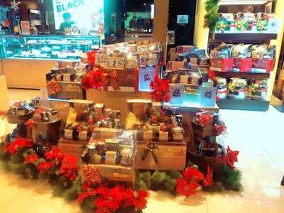 The Harvest Patissier & Chocolatier