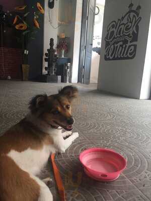 Black Meet White Coffee