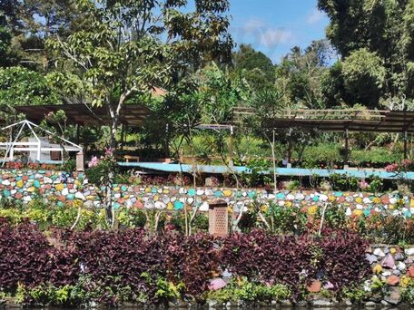 Okoy Flower Garden