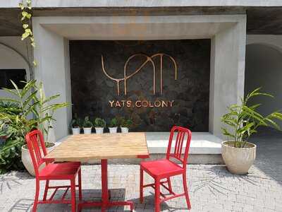 Yats Colony Restaurant