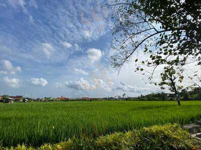 Monsieur Spoon Petitenget