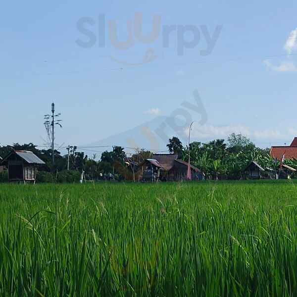 Monsieur Spoon Petitenget