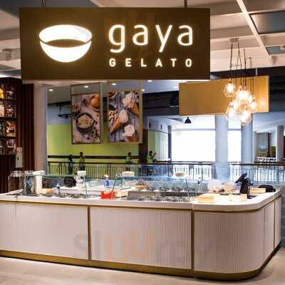 Gaya Gelato