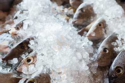 The Fig Tree Restaurant