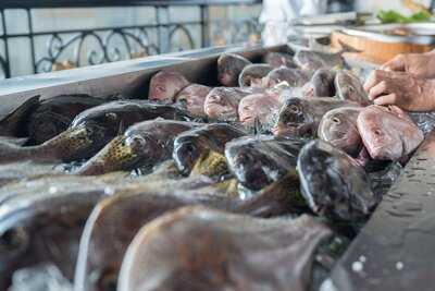 The Fig Tree Restaurant