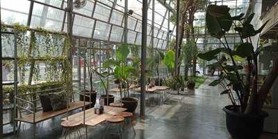 Mezzanine Eatery And Coffee