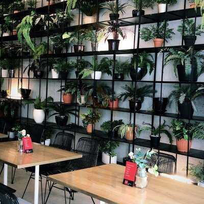 Common Grounds Neo Soho