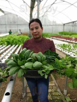 Red Bean Gunung Sahari