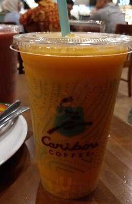 Caribou Coffee
