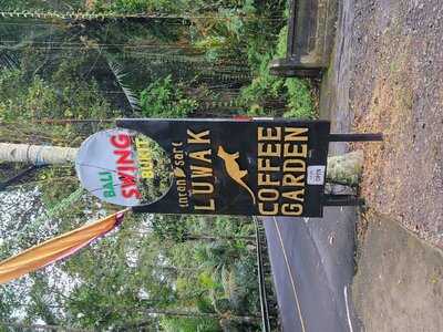 Luwak Coffee Bali
