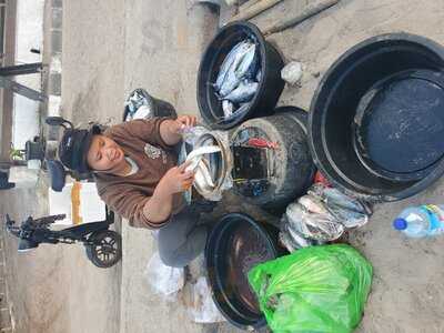 Chill Out Bar & Bungalows