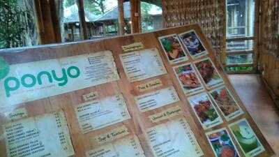 Rm Ponyo