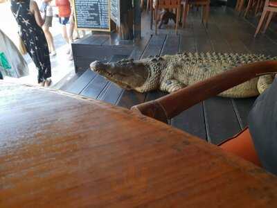 The Bush Telegraph Pub