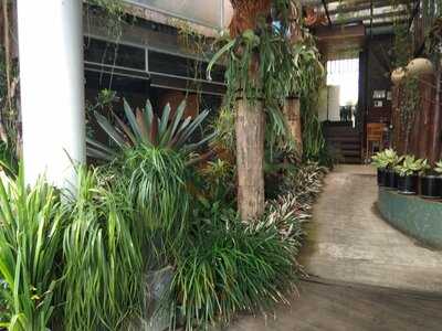 Coco Rico Cafe & Resto