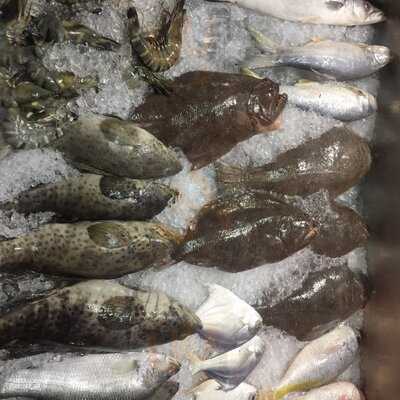 Gama Ikan Bakar & Seafood
