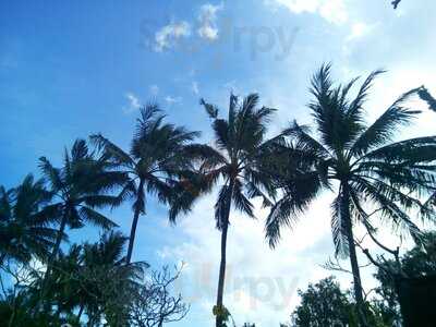 The River Cafe At Maya Ubud