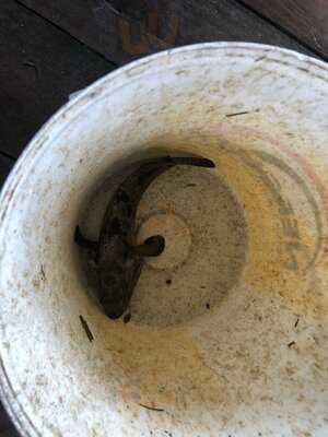 Citra Utama Seafood Restaurant