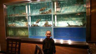 Jing Paradise Chinese Fine Dining