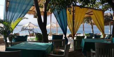 Zipp Bar Restaurant & Bungalows