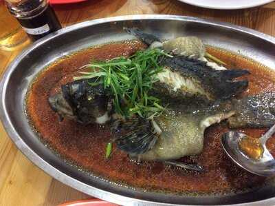 Pt Jagat Sentosa Adijaya Corp