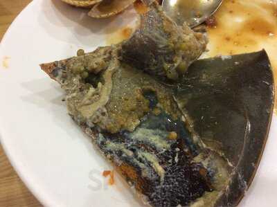 Pt Jagat Sentosa Adijaya Corp