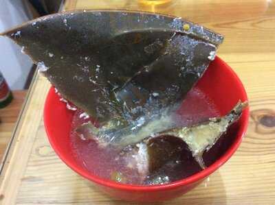 Pt Jagat Sentosa Adijaya Corp