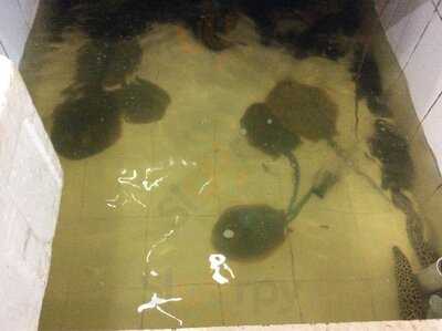 Pt Jagat Sentosa Adijaya Corp