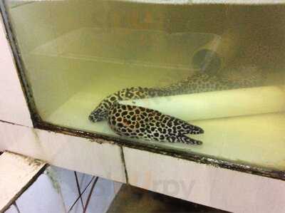 Pt Jagat Sentosa Adijaya Corp