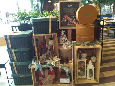 Pancious Mal Summarecon Serpong 2