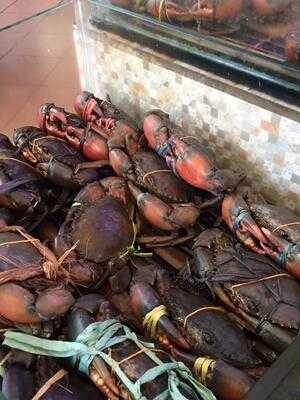 Pizza Hut - Taman Impian Jaya Ancol