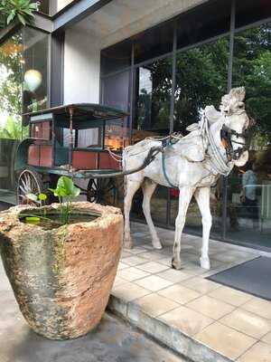 The Harvest Cakes - Sunset Road