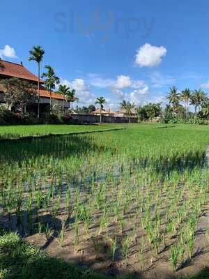 Bebek Bengil (dirty Duck Diner)