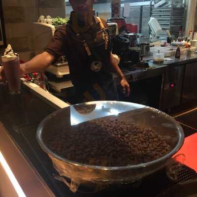 Toarco Toraja Coffee