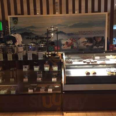 Toarco Toraja Coffee